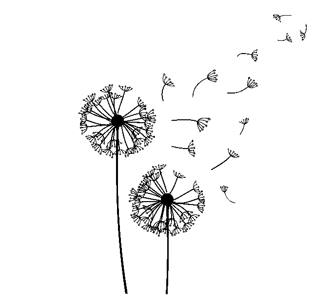 Pusteblumen